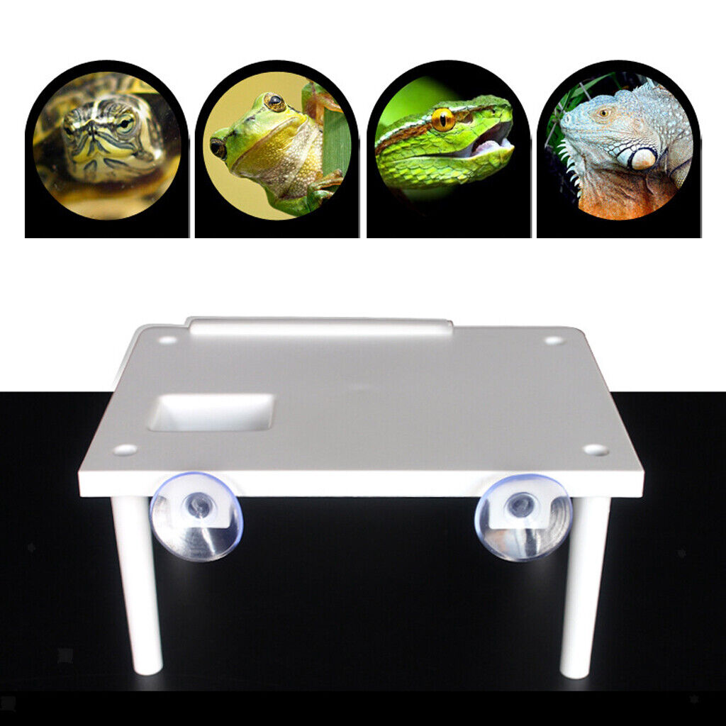 Aquarium Reptile Turtle Basking Platform Floating Island Climbing Ramp Ladder