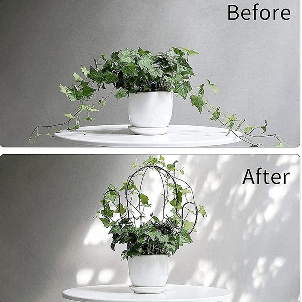 Vine Rack Art Metal Climbing Frame Plant Support Fixing Rod Climbing Holder