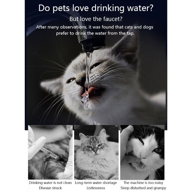 Pet Drinking Water Dispenser for Cats and Dogs Indoor with 2 Filter Replacement