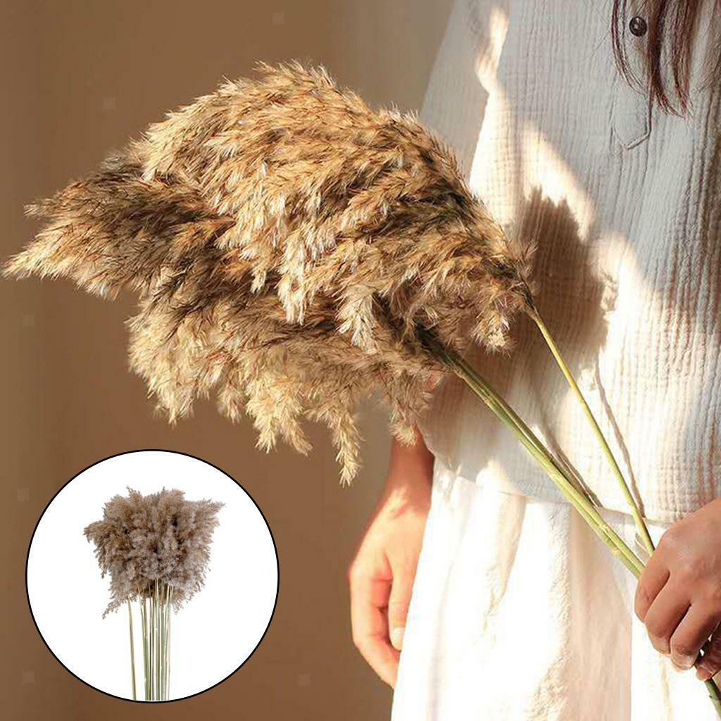 30x  Dried  Grass Reed Flower   and garden Table Decor