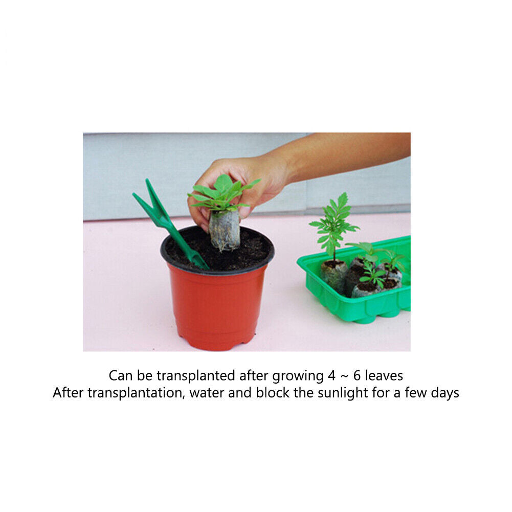 10pcs Jiffy Peat Pellets Seedling Soil Block Starting Plugs Seed Starter