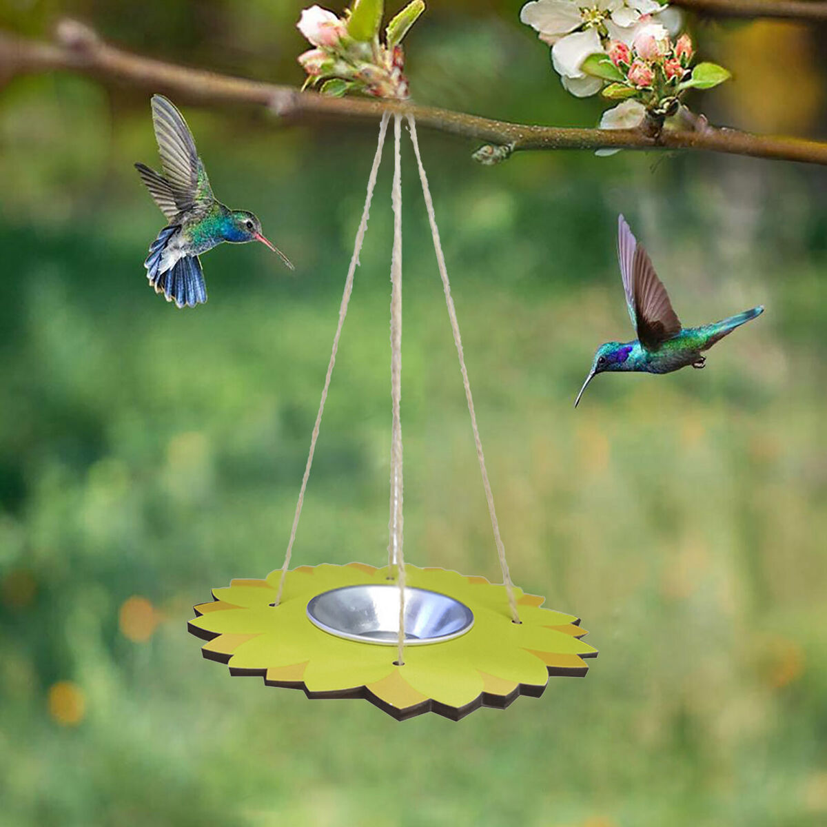 Bird Feeders for Outside - Hanging Platform Bird Feeder Seed Tray Plate