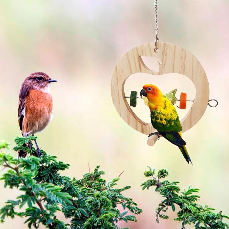 Bird Food Holder with Perch Parrot Vegetable/Fruit Feeder Hanging Treat Skewer