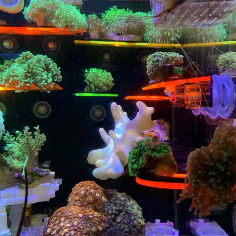 Fish Tank Fluorescence Coral Frag Rack Aquarium Reef w/Plug Holder (Yellow)