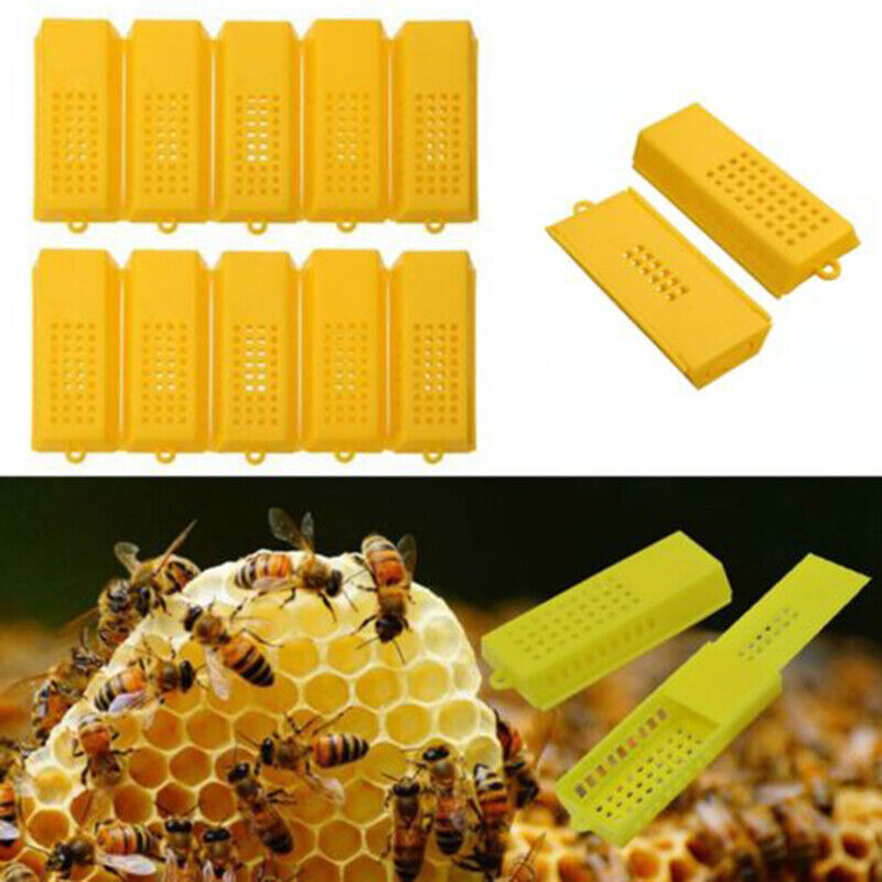 10pcs Extended Queen/Bee Butler Cage Catcher Trap Case Plastic Beekeeping Tools