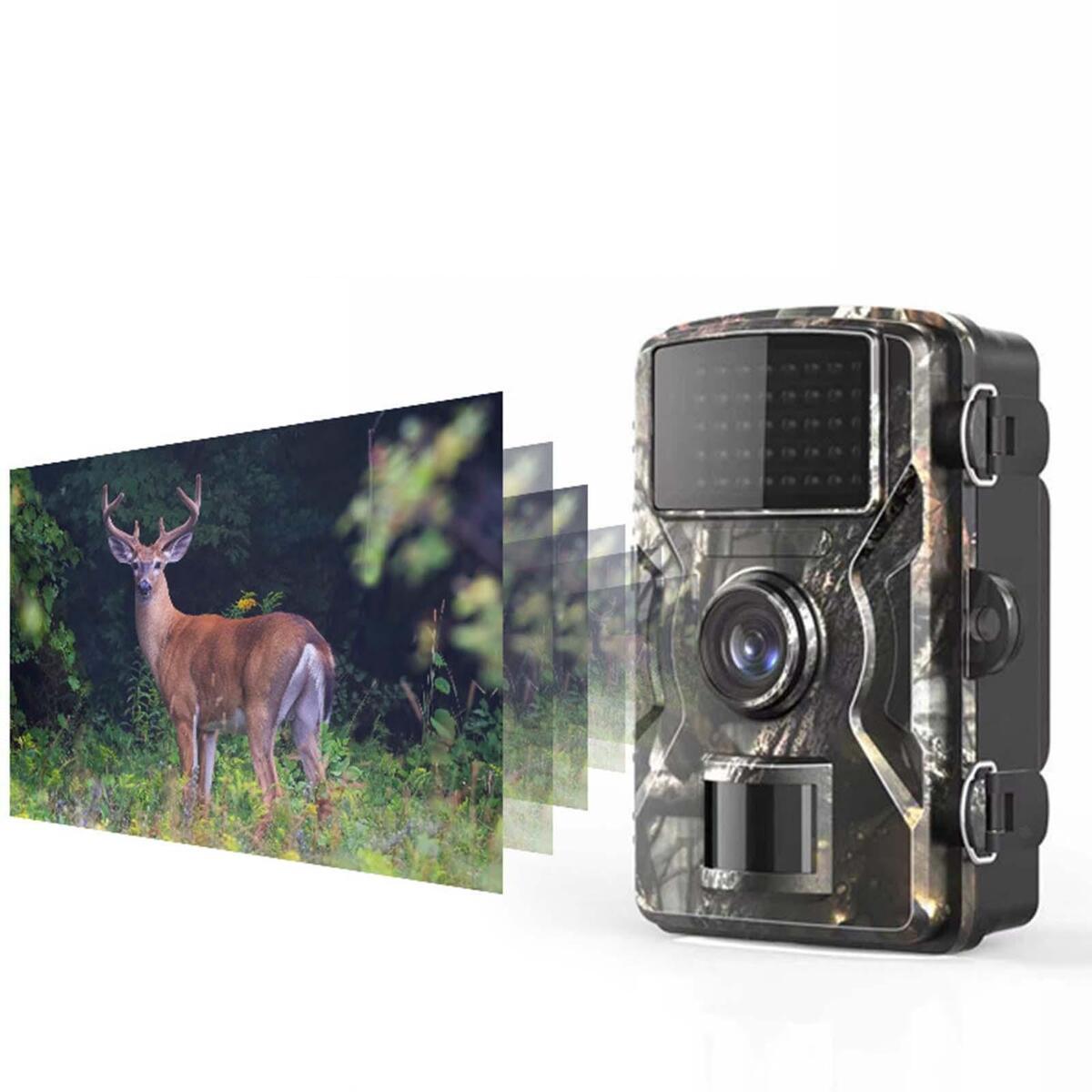 1920x1080 Trail Camera Hunting Camera for Wildlife Viewing Camping