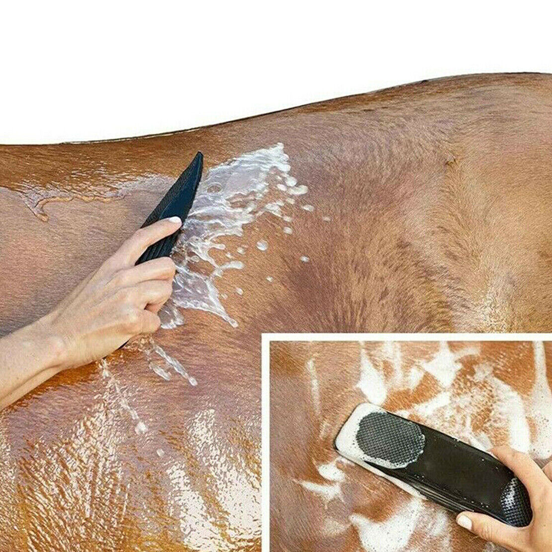 Horse Grooming Massage Brush Hair Groomer Dog Horse Hairs Comb Cleaning Brush