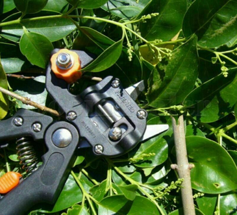 Professional Garden Flower Tree Pruner Shear Grafting Cut Tool With 2 Blade Part