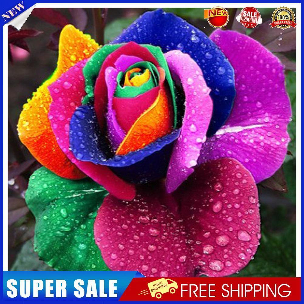 5D DIY Part Drill Diamond Painting Colorful Flower Cross Stitch Embroidery