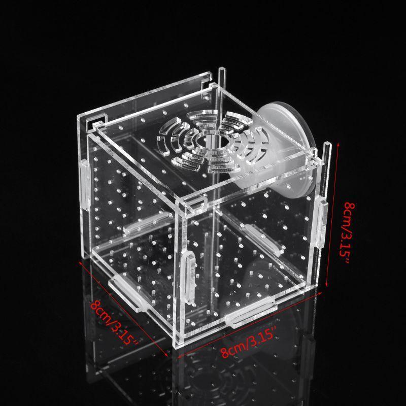 Aquarium Breeder Box Fish Tank Breeding Incubator Small Fish Hatchery 8x8x8cm