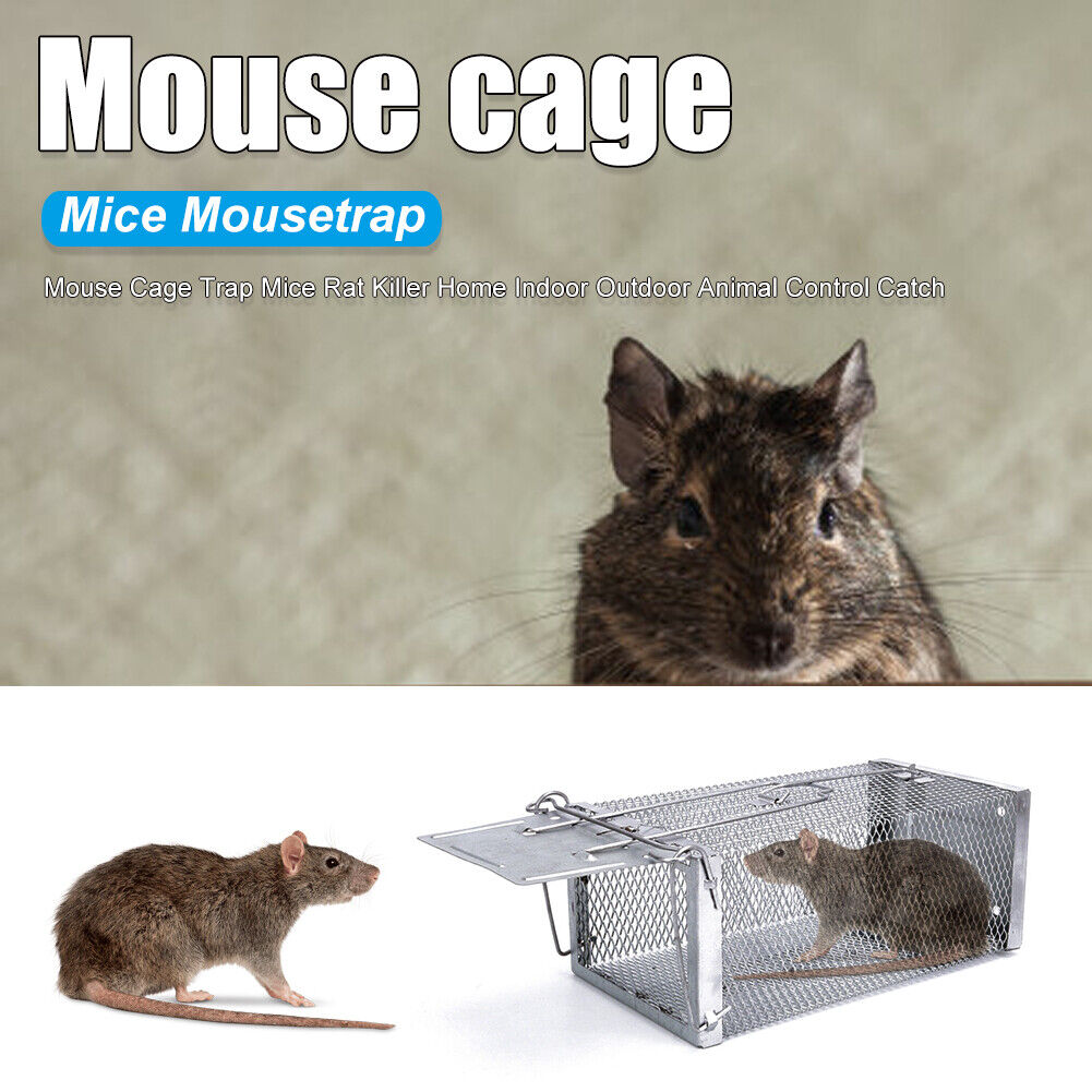 Mouse Cage Trap Mice Rat Killer Home Indoor Outdoor Animal Control Catch