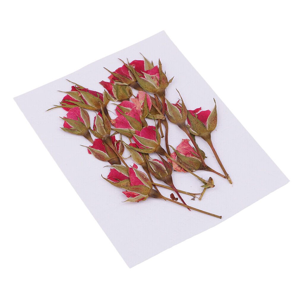 DIY Dried Flowers  Decoration For   Making Jewelry Making