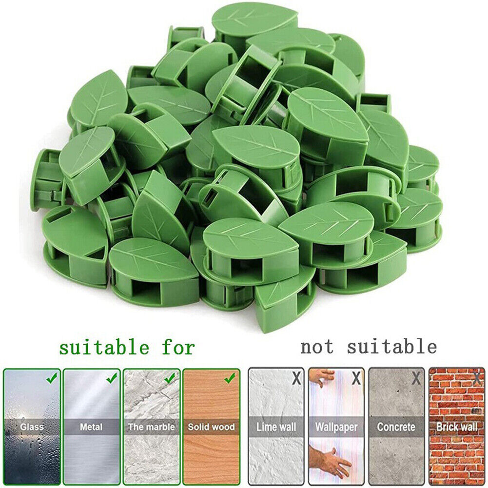 10pcs Plant Fixture Clip Climbing Wall Self-Adhesive Fastener Vine Buckles