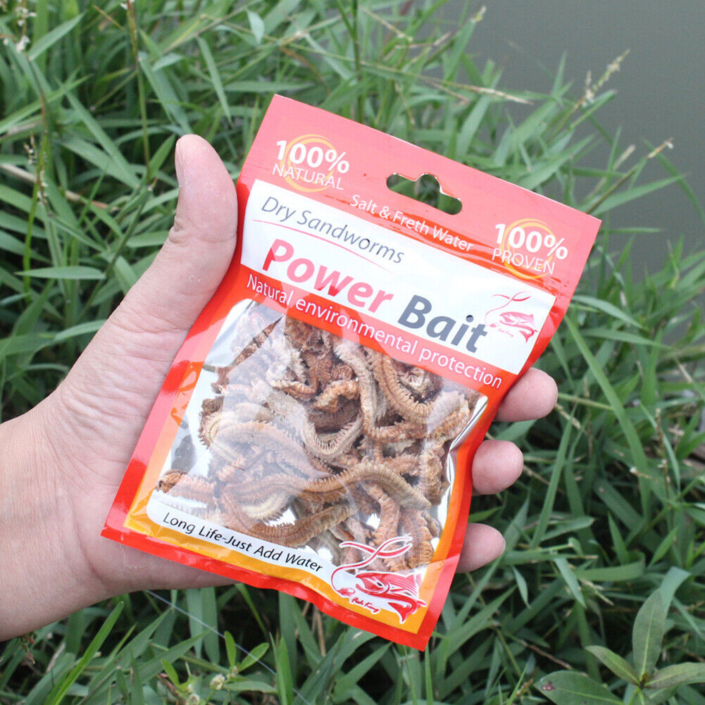Dry Sandworms Fishing Lure Saltwater Feeder Worms Sea Fish Smell Soft Baits