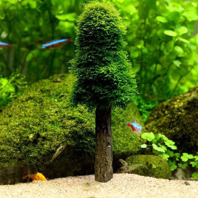 Aquatic Plants Moss Holder Live Grass Bracket Fish Tank Decor Accessories