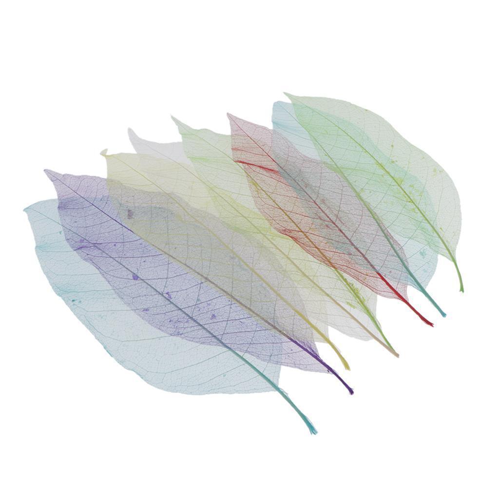 8pcs Natural Dried Skeleton Leaves for Embellishment Cardmaking DIY Crafts