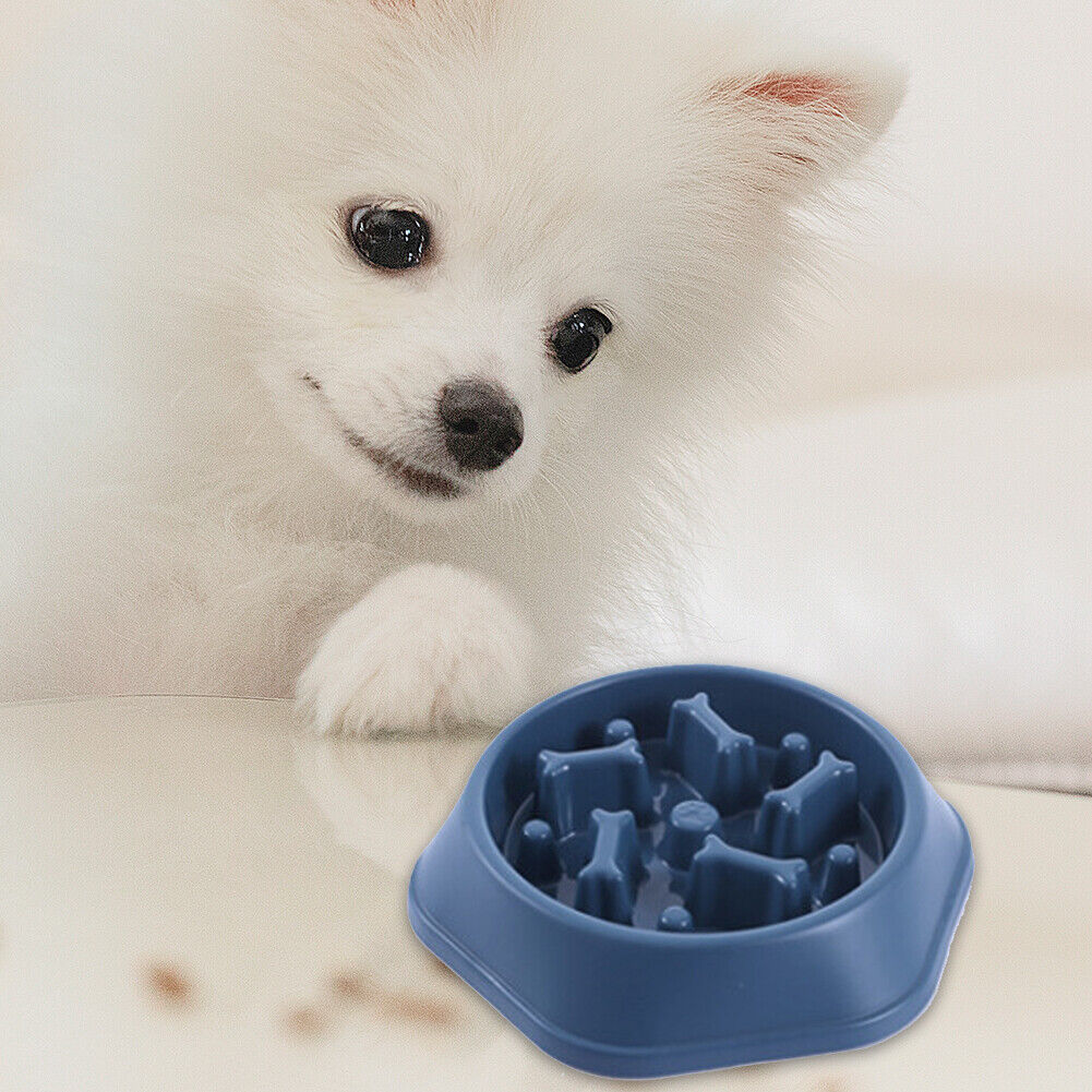 Pet Slow Eating Dish Cat Dog Anti Choking Puppy Feeder Food Bowl (Blue)
