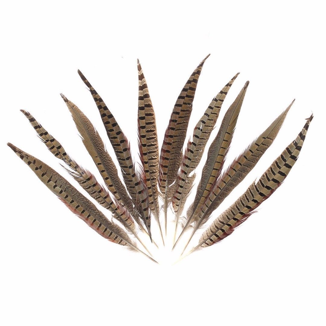 Diy Natural Pheasant Feather Black Yellow Tail 30-35mm 10Pcs
