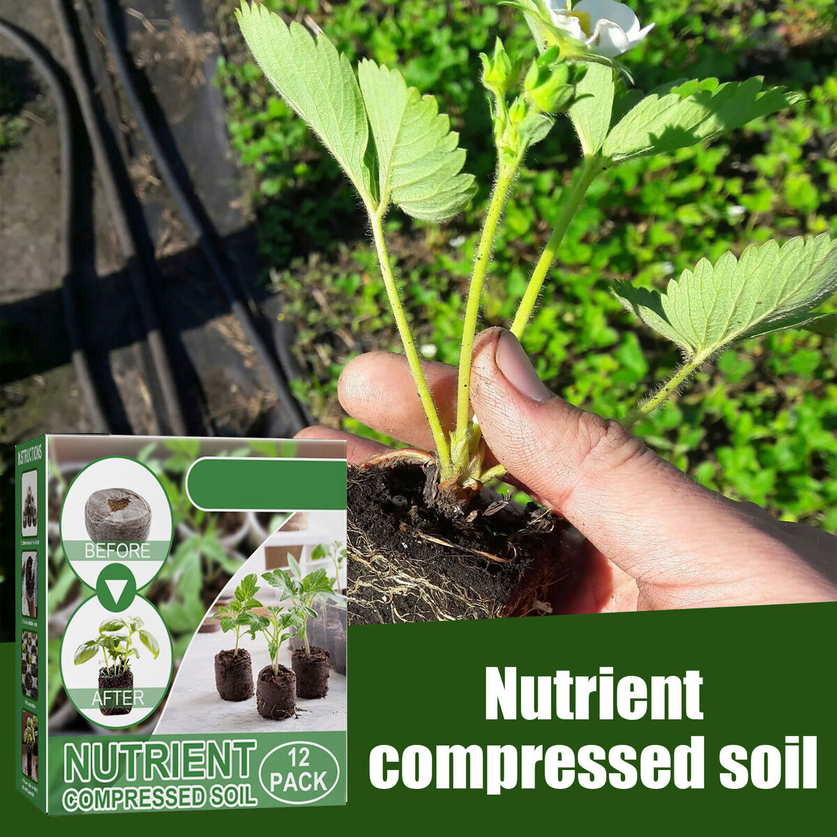 Seedling Germination Soil Blocks - Mixed Coconut Bran Peat Lignin Pellets