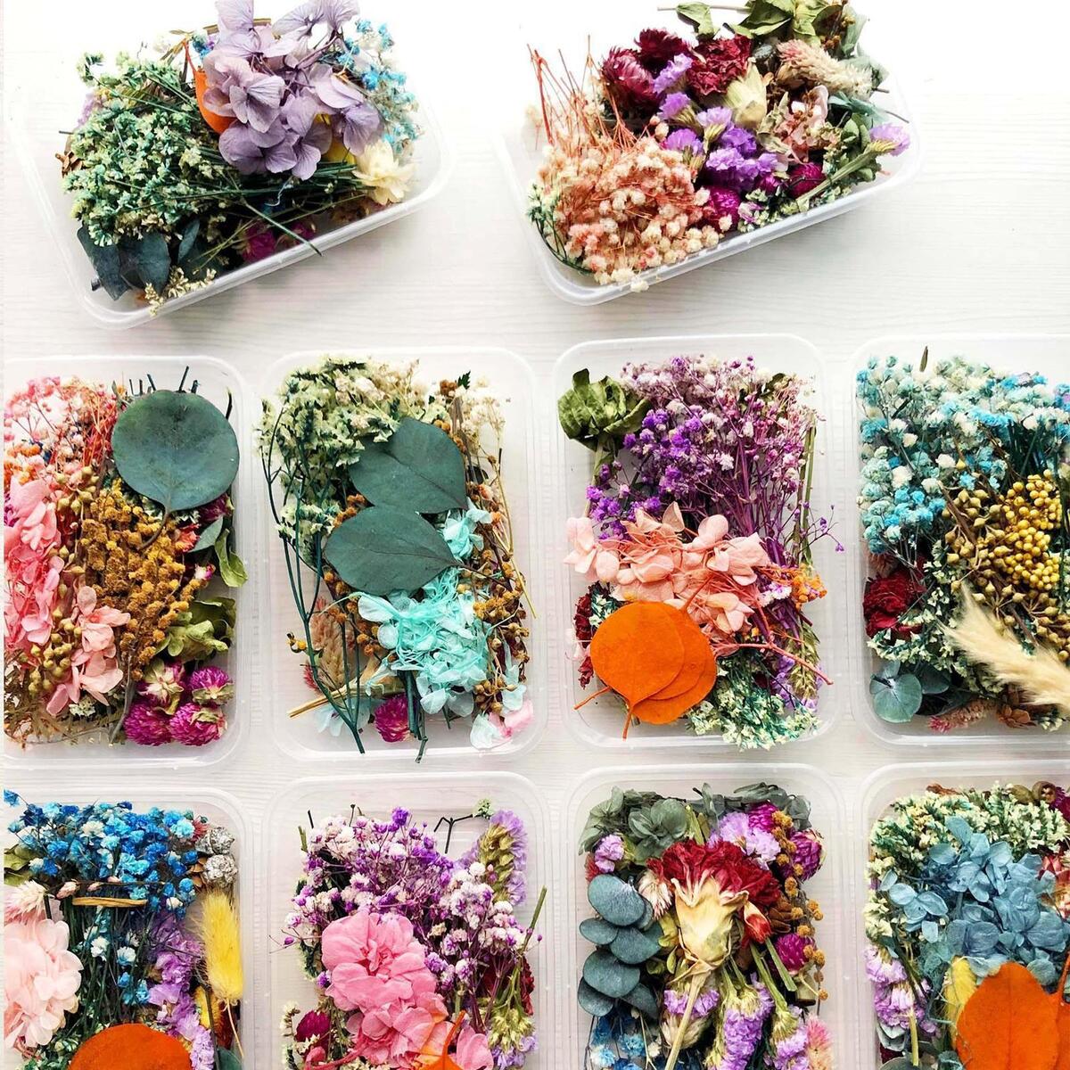 1 of box Dried Flowers Petals Leaves Crafts  Phone  Accessories