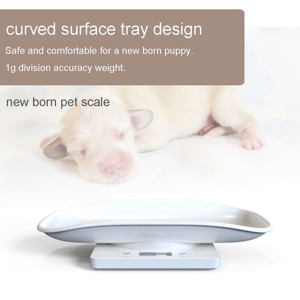 Mini Digital Scale Electronic LCD High Precision Gram Pet Weighing Scale