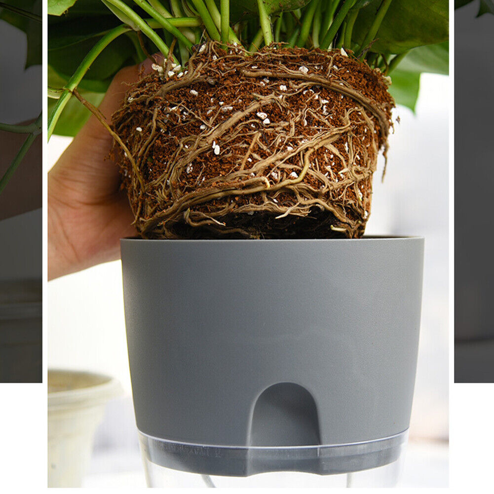 Watering Planter Self Watering Flower Pot Water Storage Basin (8.2cm)
