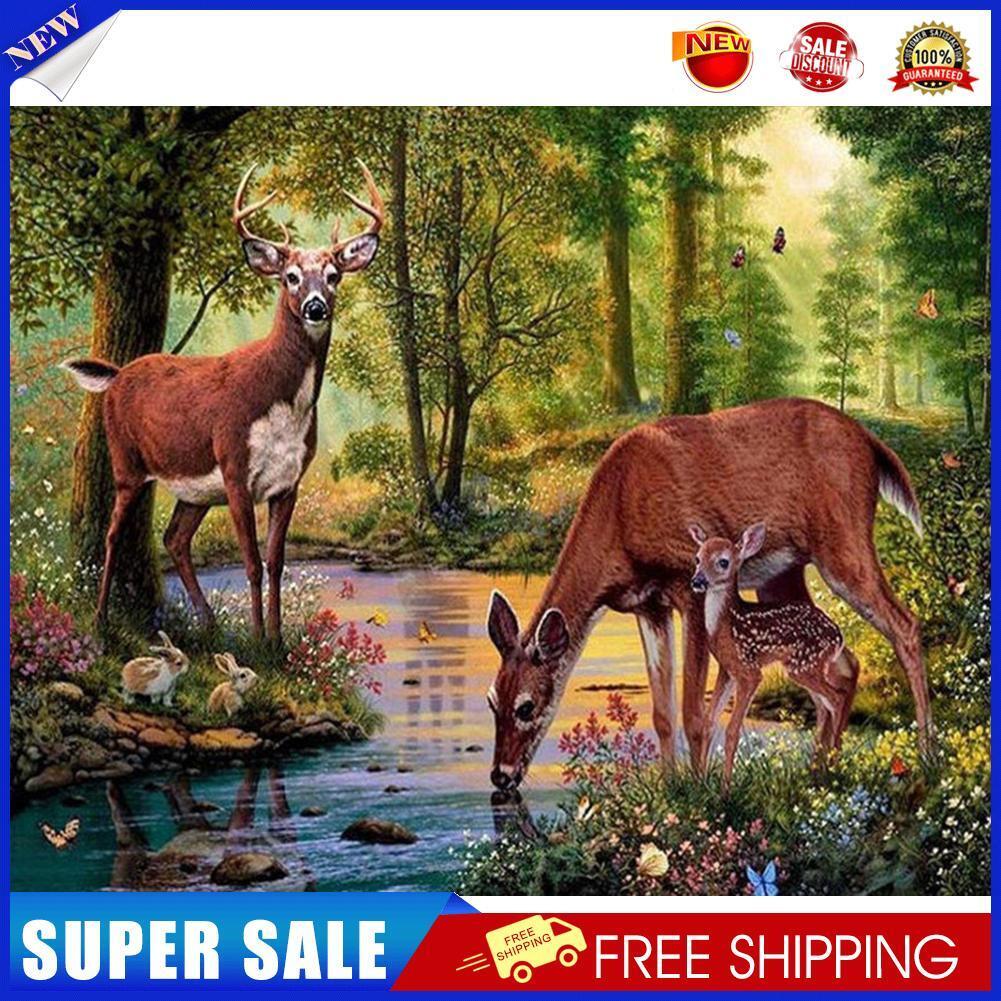 Deer 50x40cm Oil Paint By Numbers Picture DIY Painting M655