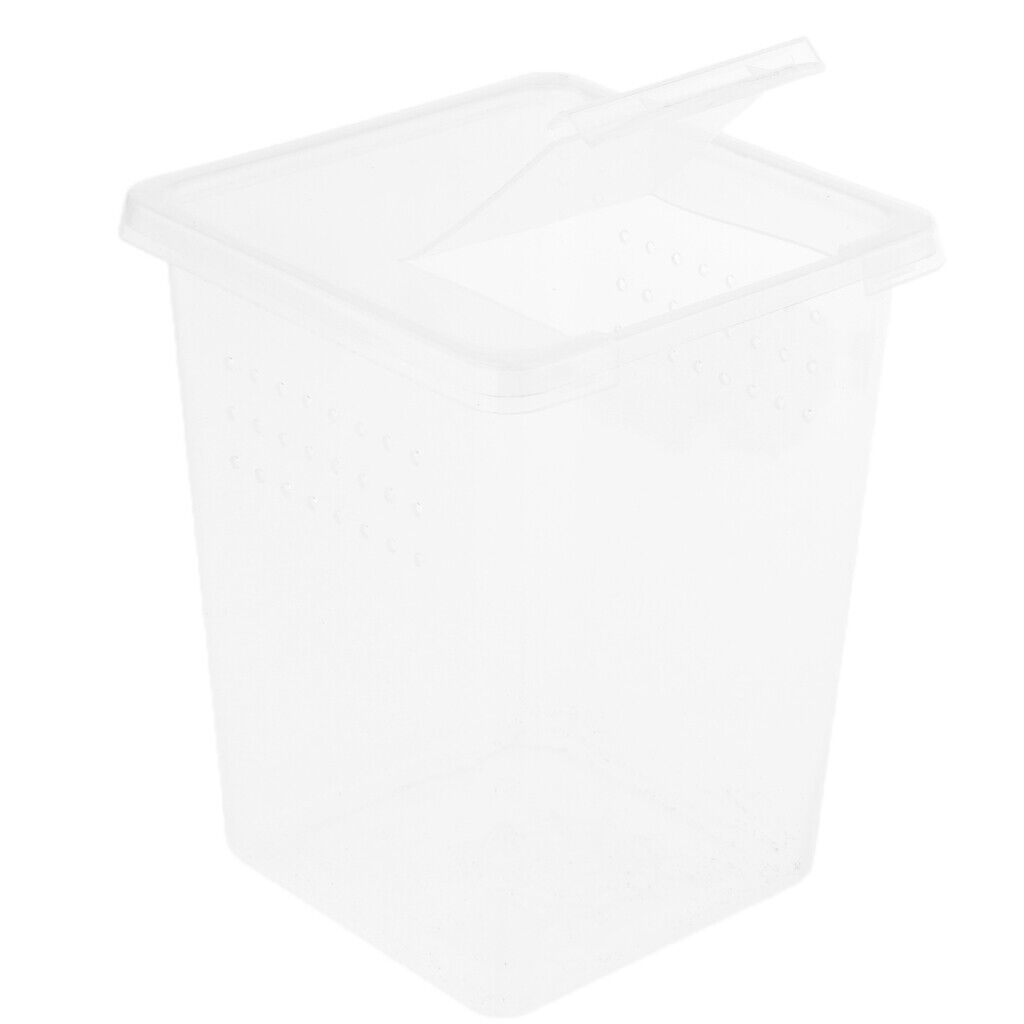 Plastic Insect Reptile Spider Habitat Feeding Box Container Case Hatching Tank