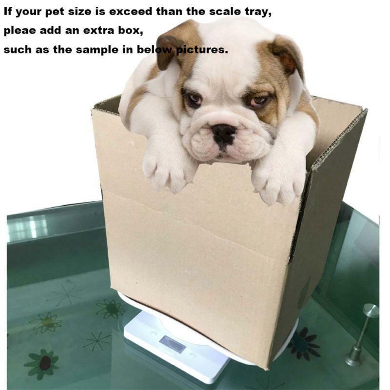 Plastic Electronic Digital Pet Scale Hd Lcd Display Measure Tool 1G-10Kg