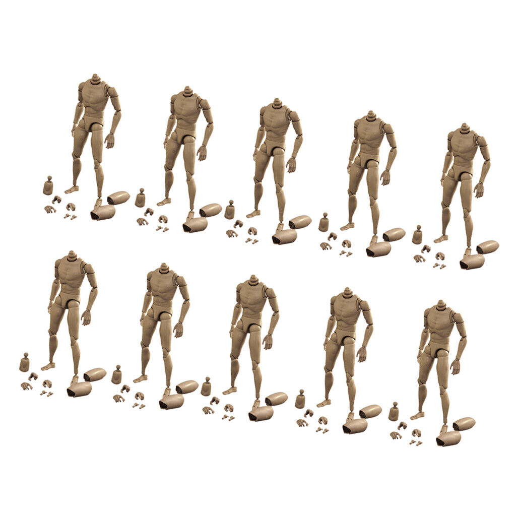 10Pcs 1/6 Scale Hot  Body Sketch Skeleton for Dragon DML BBI DID