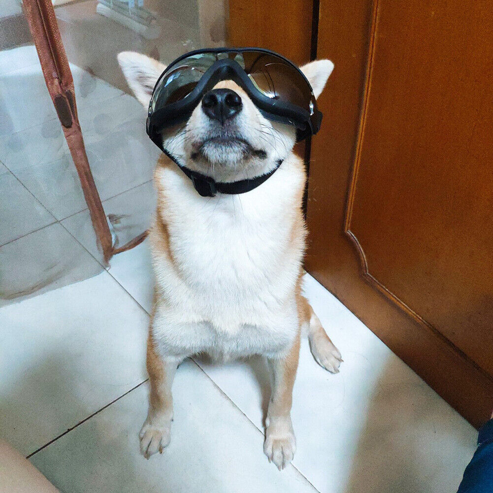 Pet Dog Sunglasses Fashion Cool Foldable Puppy Glasses Waterproof Goggles