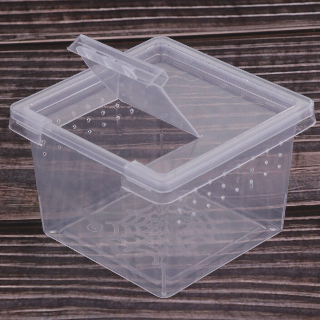 20 Pcs Insect Reptile Spider Terrariums Breeding Box Hatching Container