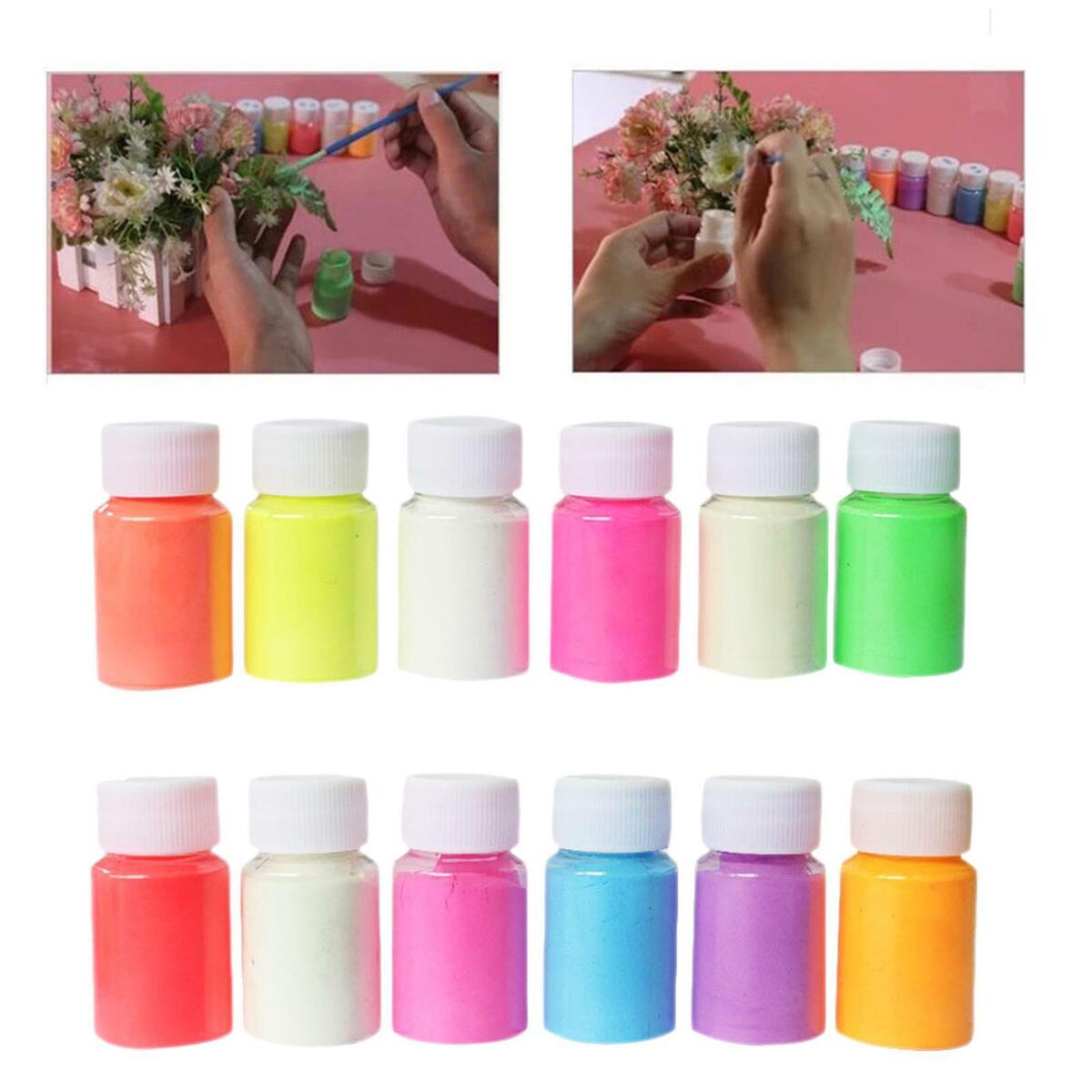 12 Colors Glow in The Dark Pigment Powder, Luminous Powder Non-Toxic Skin Safe