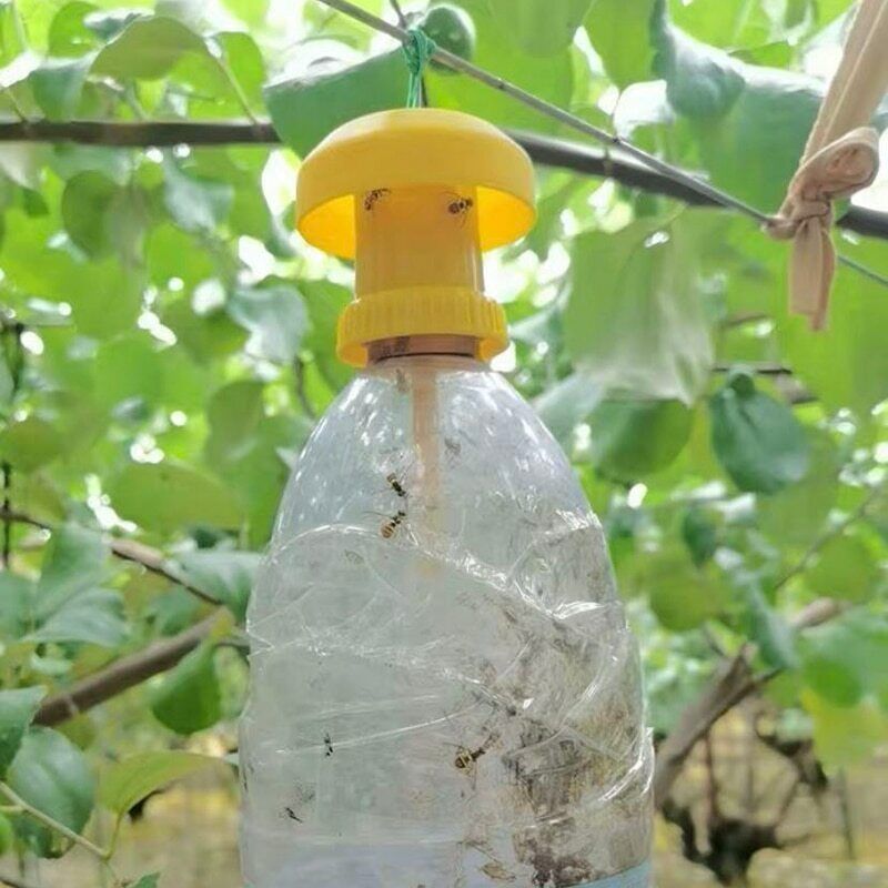 Fruit Fly Trap Killer Plastic Yellow Drosophila Trap Fly Catcher pest Insect con