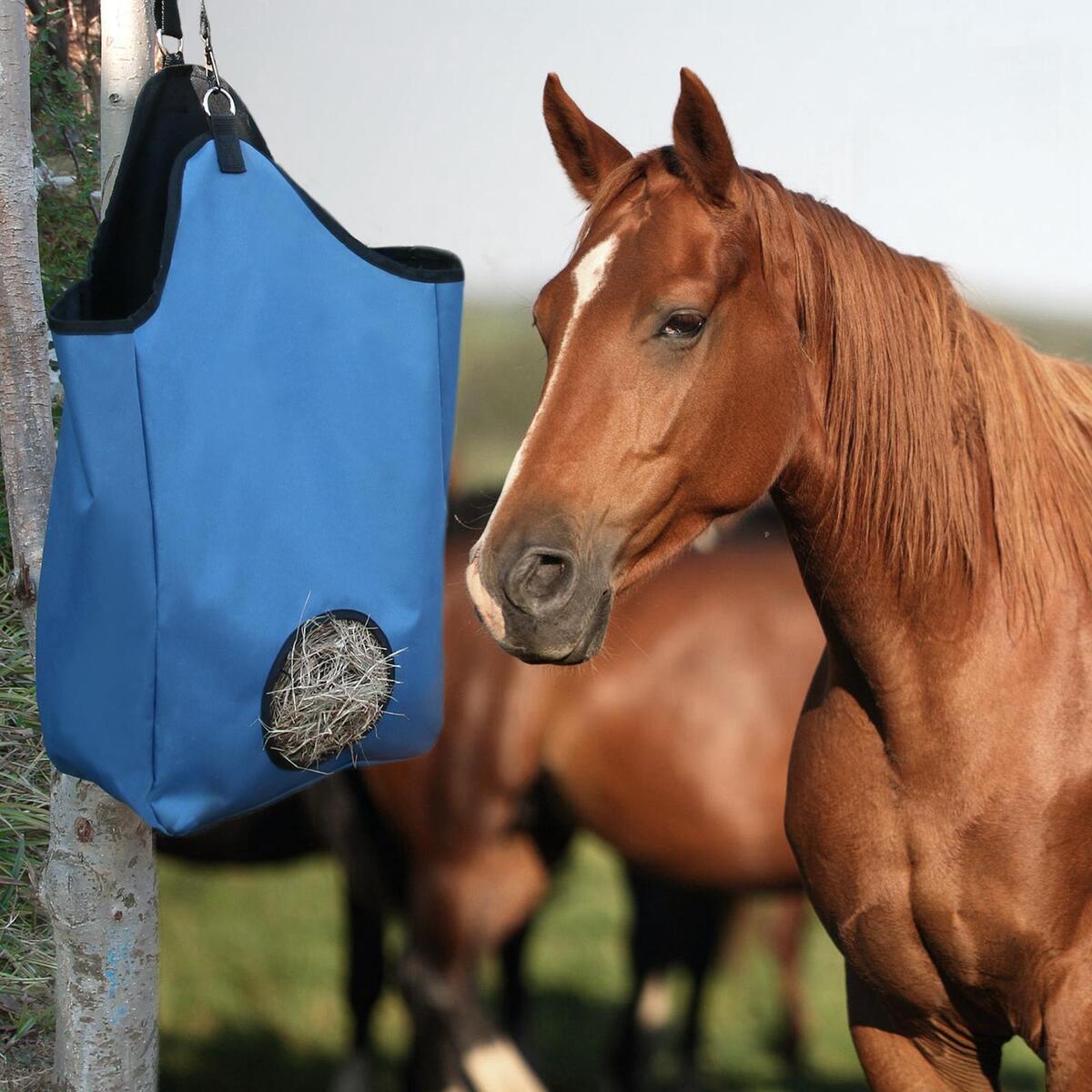 Horse Feeding Hay Easy Clean Waterproof Pet Supplies for Sheep Cow