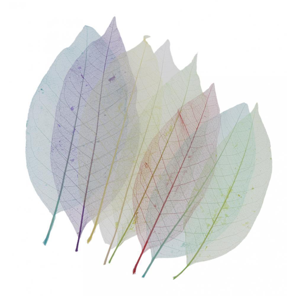 8pcs Natural Dried Skeleton Leaves for Embellishment Cardmaking DIY Crafts