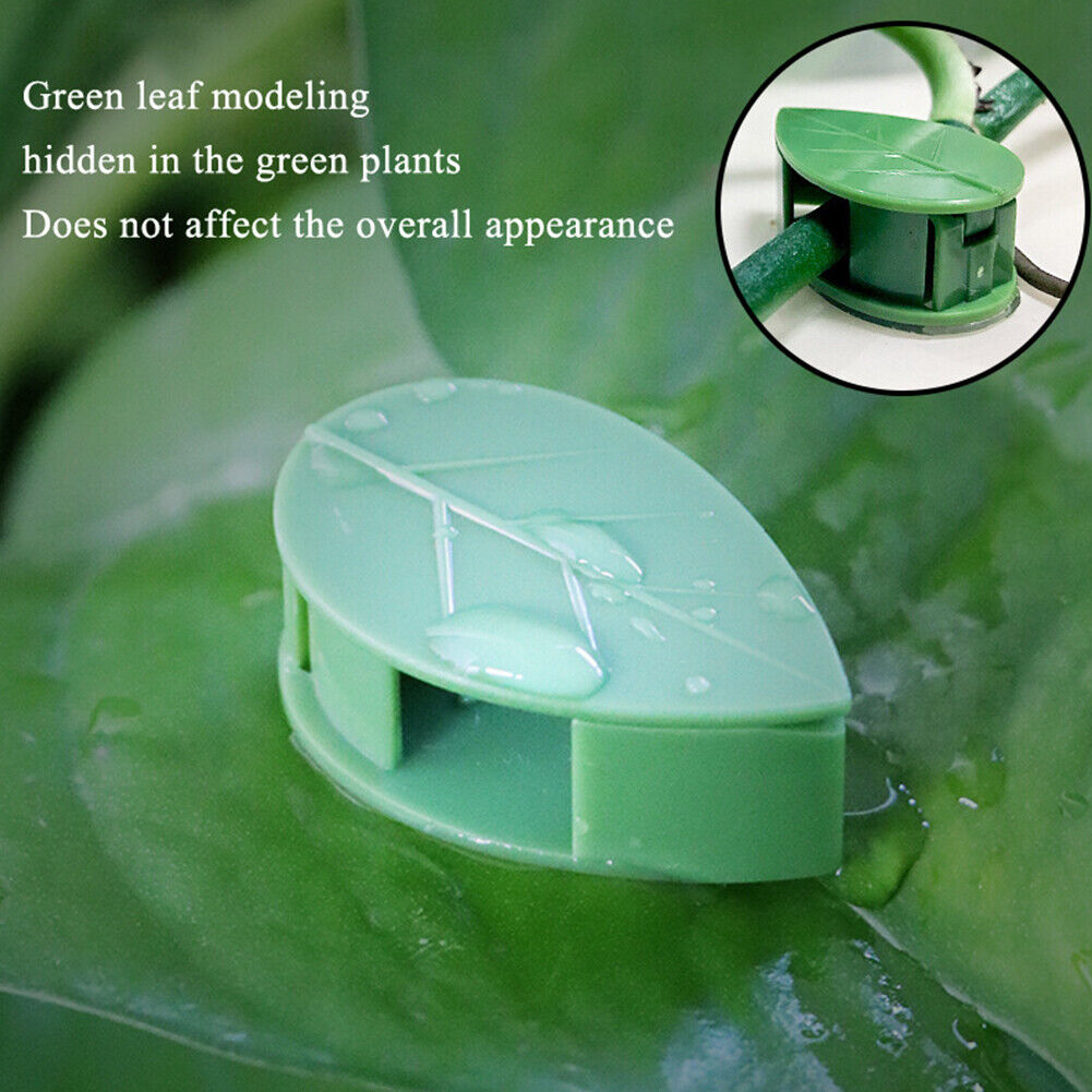 10pcs Plant Fixture Clip Climbing Wall Self-Adhesive Fastener Vine Buckles