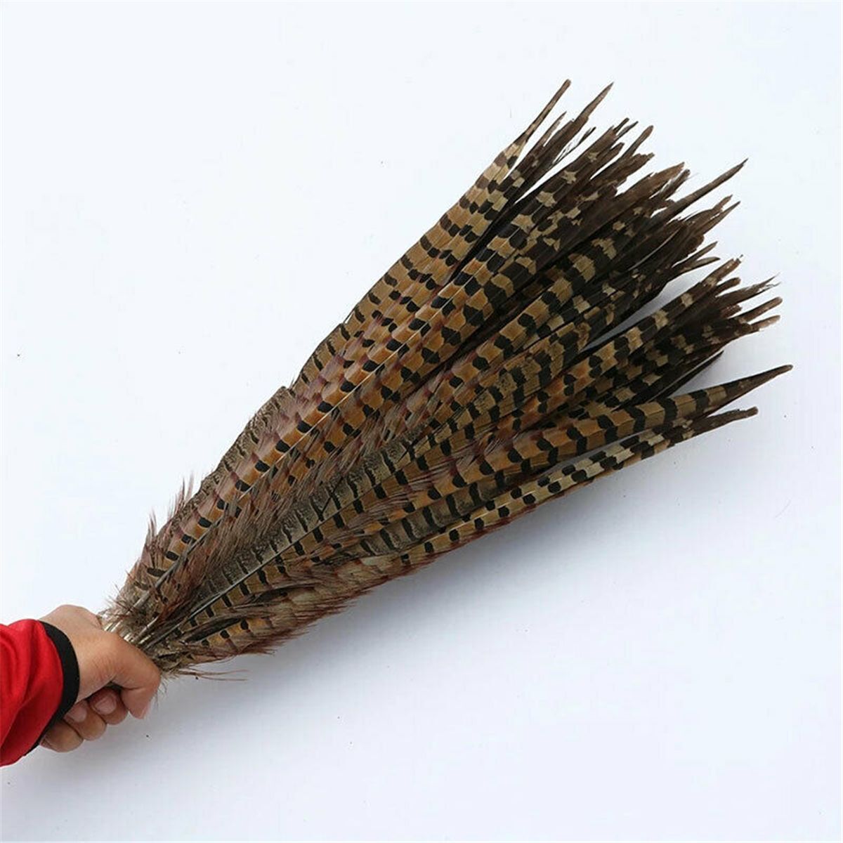 Wedding Home Craft Natural Pheasant Feathers Pheasant Tail Feathers Party