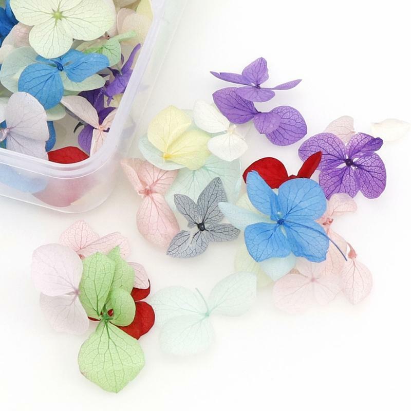 Natural Real Dried Flower Leaves Presses Flowers Herbs Kit Art Floral Decors