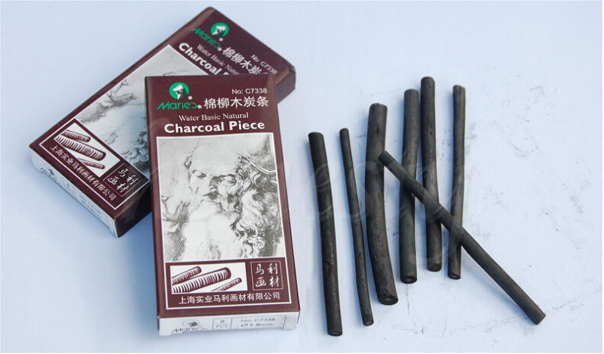 Black Charcoal Sticks Bar Sketch Drawing Sketching Oil Painting Willow & Case