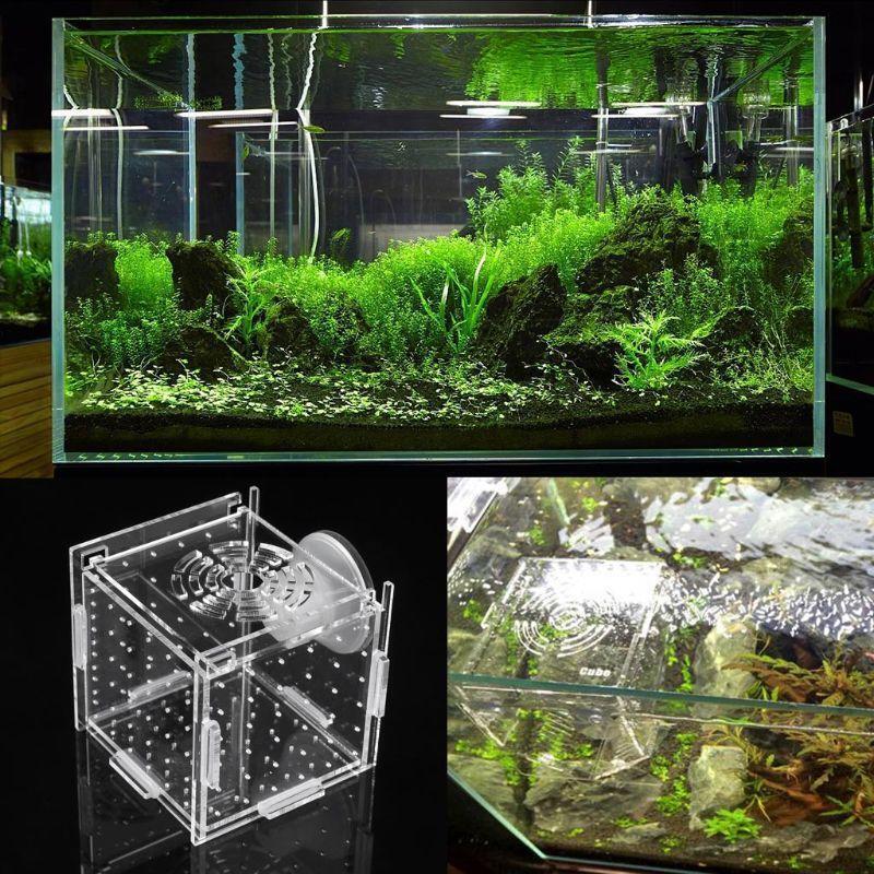 Aquarium Breeder Box Fish Tank Breeding Incubator Small Fish Hatchery 8x8x8cm