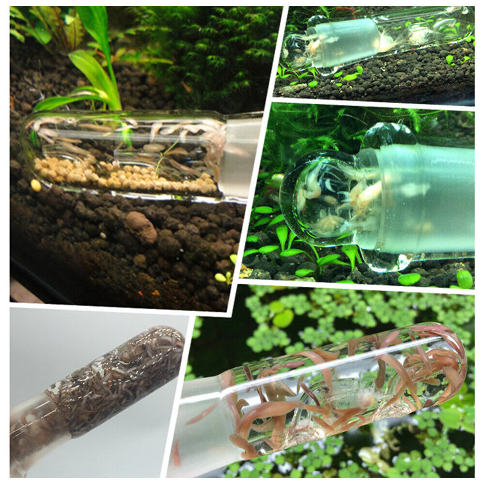 Transparent Aquarium Aquatic Cleaner Crystal Glass Planarian Trapping Pen