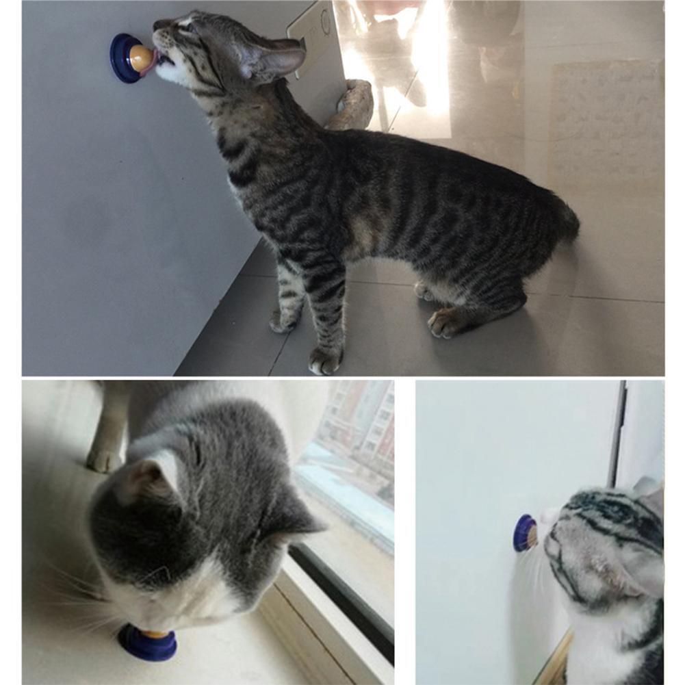 Healthy Cat Snacks Catnip Sugar Candy Licking Solid Nutrition Energy Ball