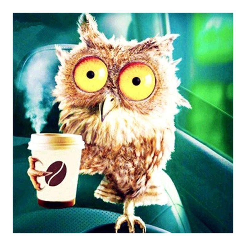 Diamond 5D DIY Diamond Painting "Drink coffee owl" Embroidery Cross Stitch Rhine