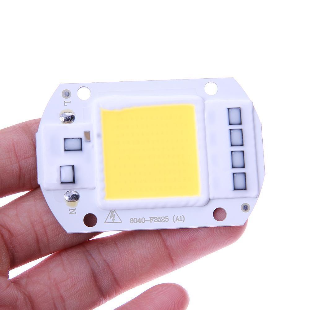 50W LEDs Floodlights COB Chip 220V Input Integrated IC Driver(White)