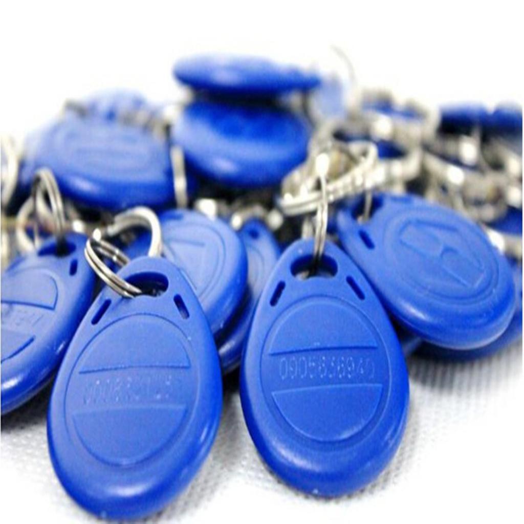 100 Pieces 125 KHz   EM4100 EM4102 Access Control System Key Fobs for Home