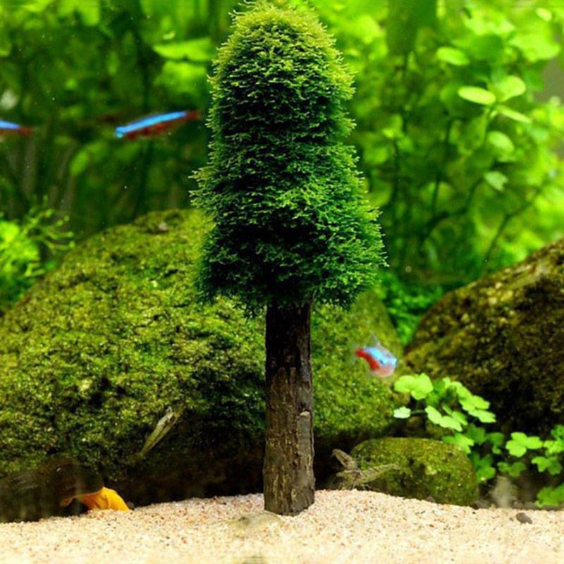 Aquatic Plants Moss Holder Live Grass Bracket Fish Tank Decor Accessories