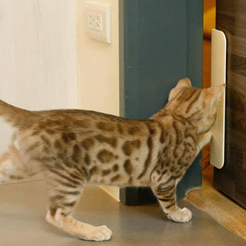 Dog Cat Door Opener Automatical Puppy Kitten ABS Doors Opening Enter Freely