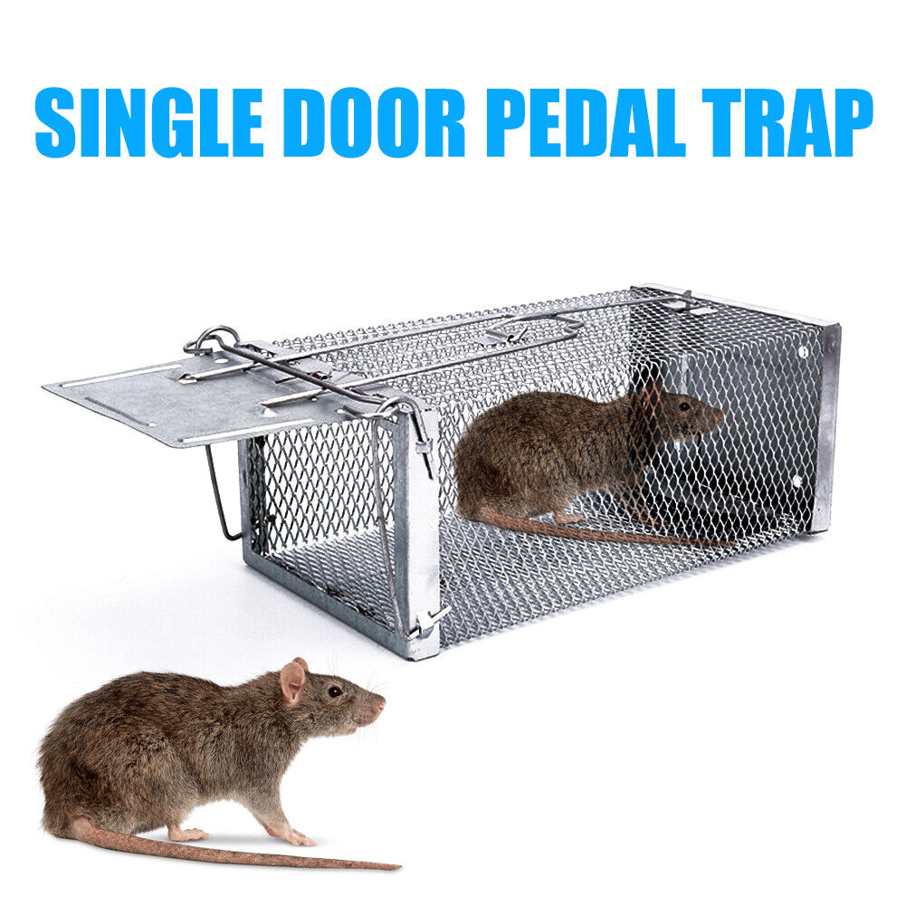 Mouse Cage Trap Mice Rat Killer Home Indoor Outdoor Animal Control Catch