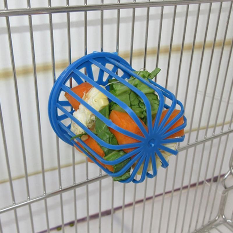 Parrot Treat Holder Fruit and Vegetable Feeding Tool Easy to Install on Cage
